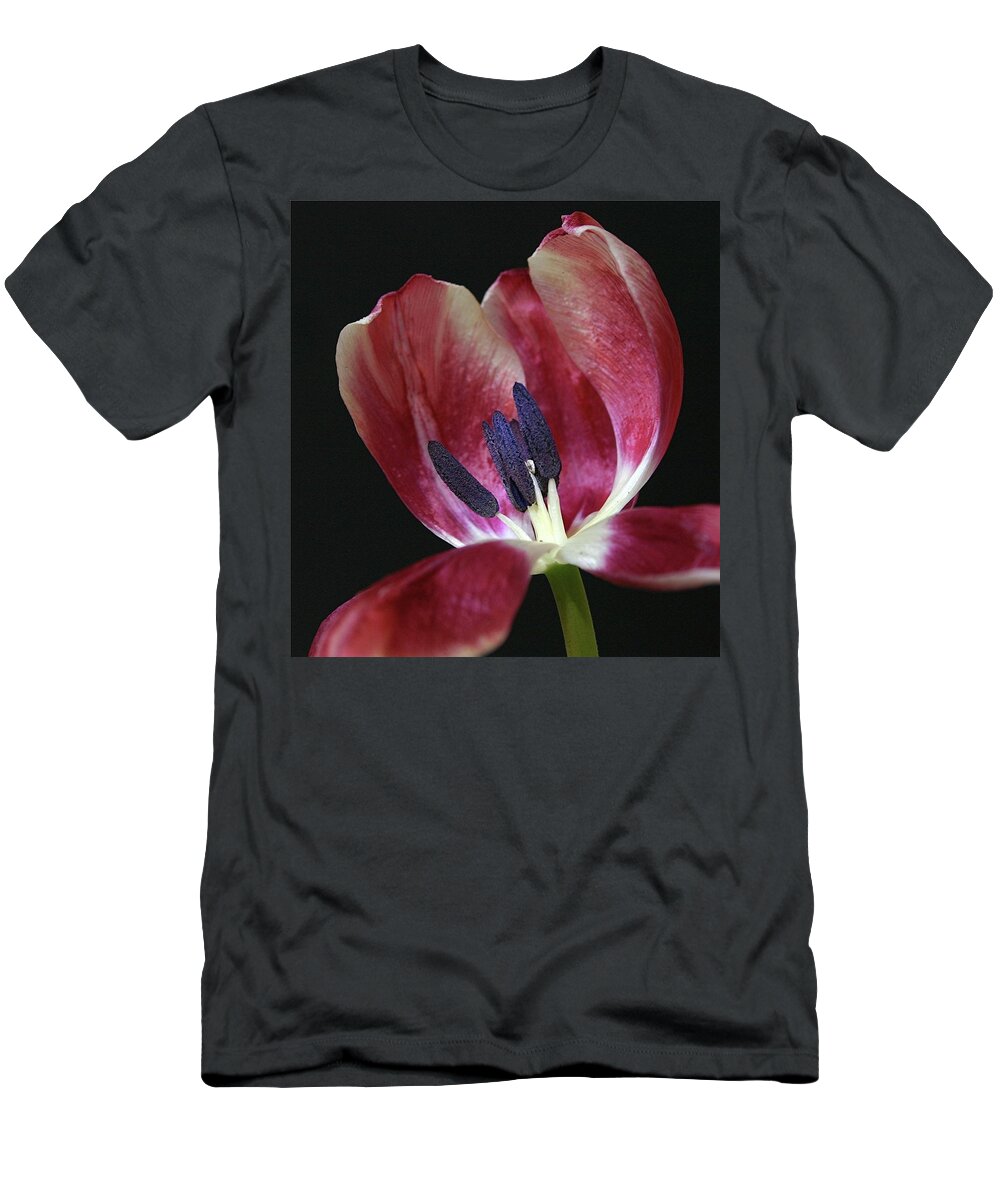 Macro T-Shirt featuring the photograph Tulip Red 042207 by Julie Powell