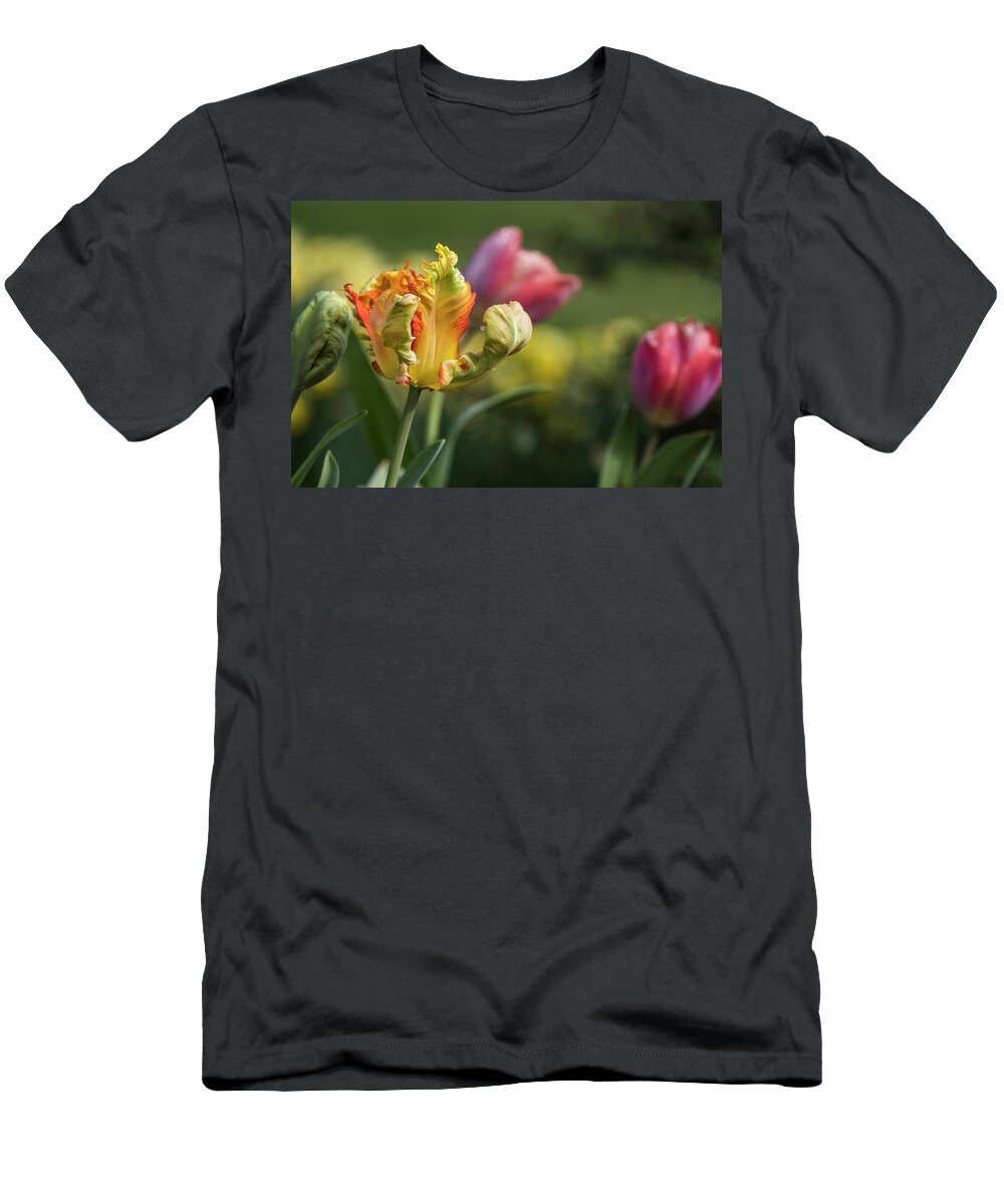 Astoria T-Shirt featuring the photograph Tulips in March by Robert Potts