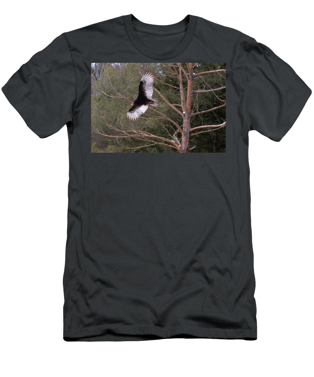Turkey T-Shirt featuring the photograph Turkey Vulture Soaring by Flinn Hackett