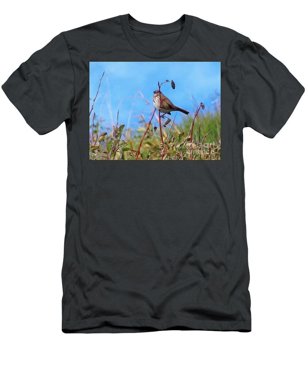 Birds T-Shirt featuring the photograph Twiggy Bird by Kimberly Furey