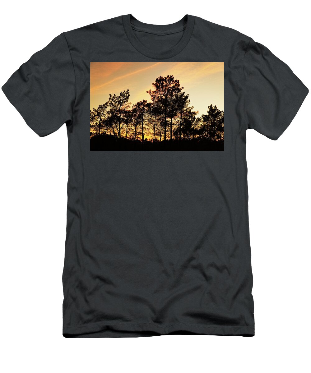 Trees T-Shirt featuring the photograph Twilight Tree Silhouettes by Angelo DeVal