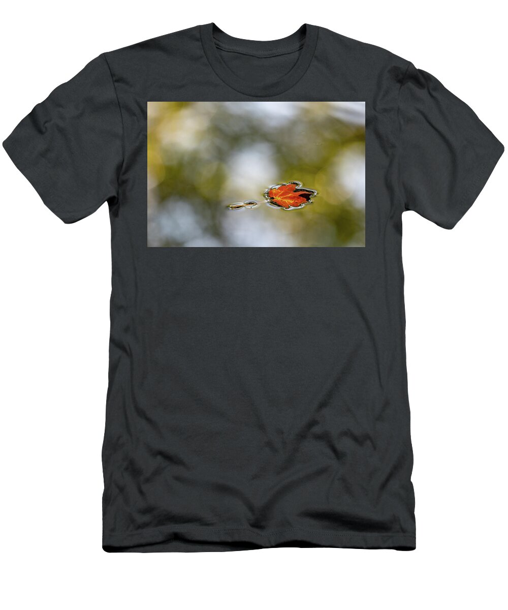 Autumn T-Shirt featuring the photograph Twin Lakes Gold by Kevin Suttlehan