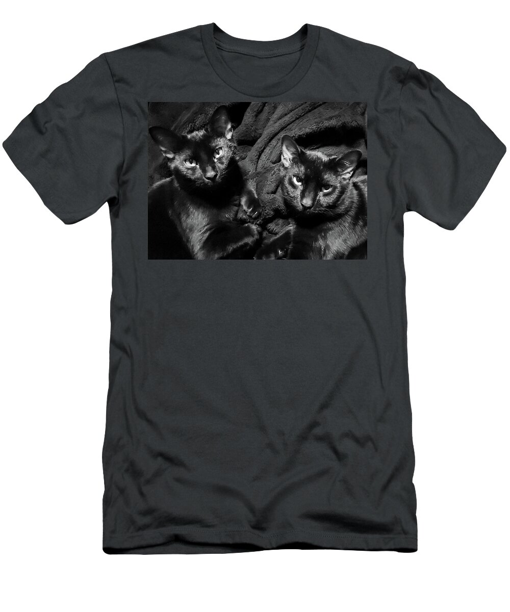 Cats T-Shirt featuring the photograph Twins by Ally White