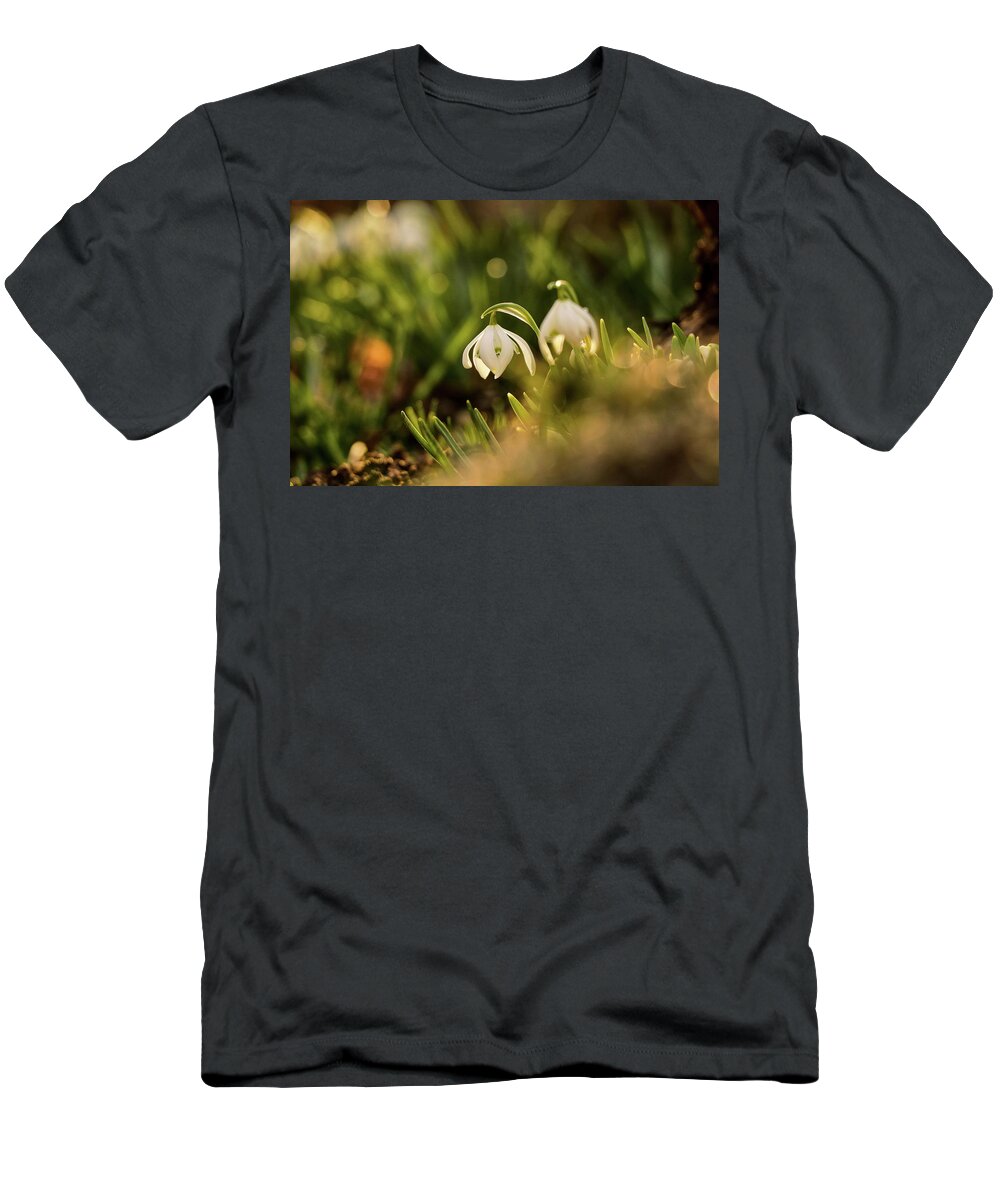 Galanthus Nivalis T-Shirt featuring the photograph Galanthus nivalis at spring by Vaclav Sonnek