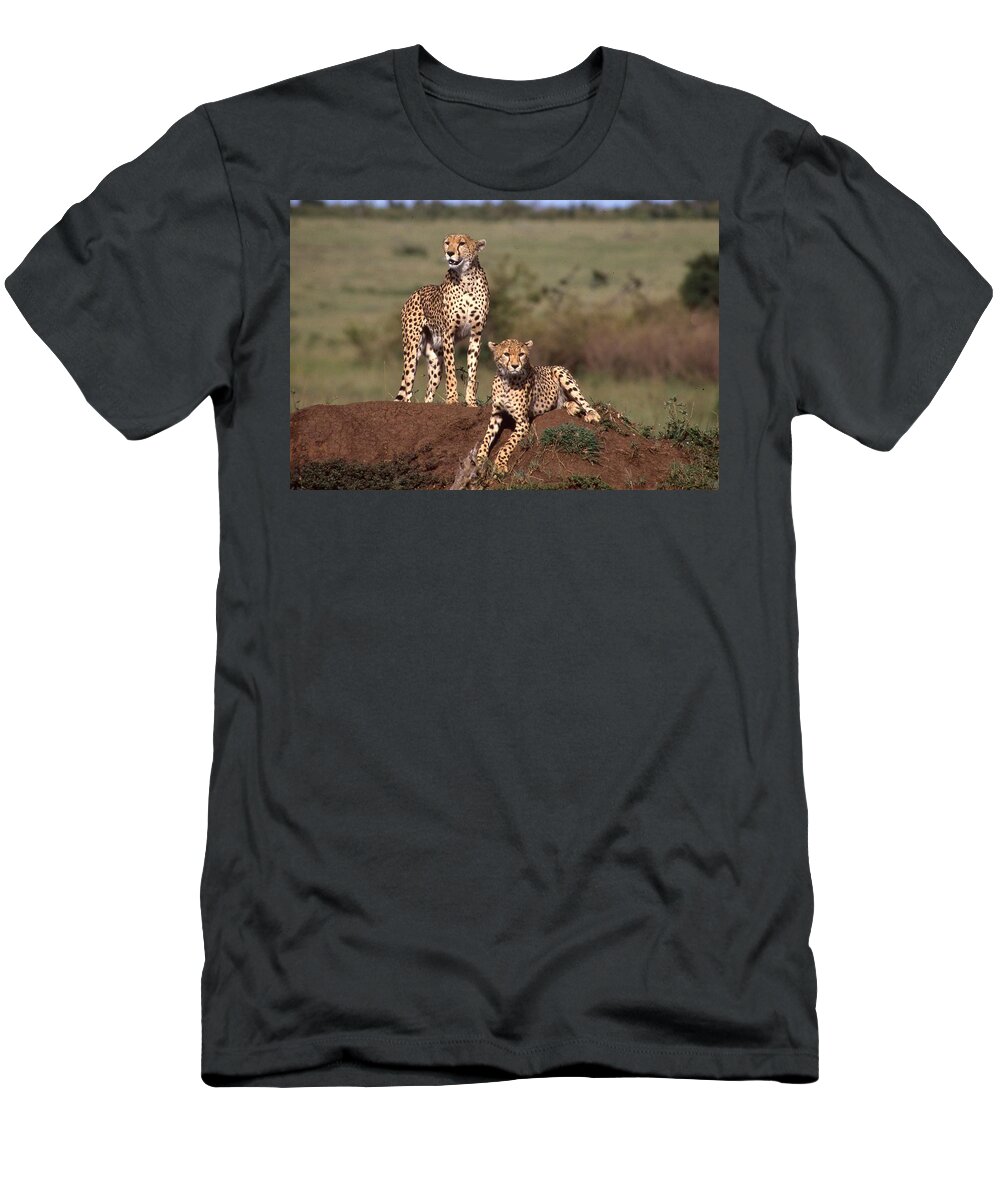 Animal T-Shirt featuring the photograph Two Cheetahs by Russel Considine