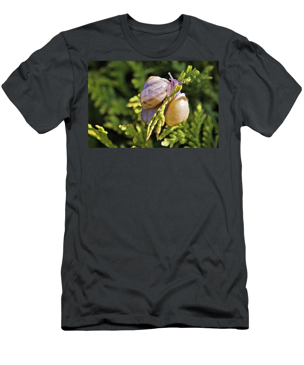 Snails T-Shirt featuring the photograph Two like one by Tatiana Travelways