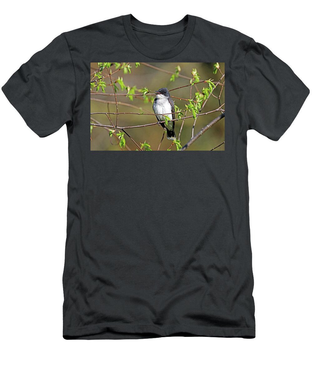 Eastern Kingbird T-Shirt featuring the photograph Tyrant In A Business Suit by Debbie Oppermann