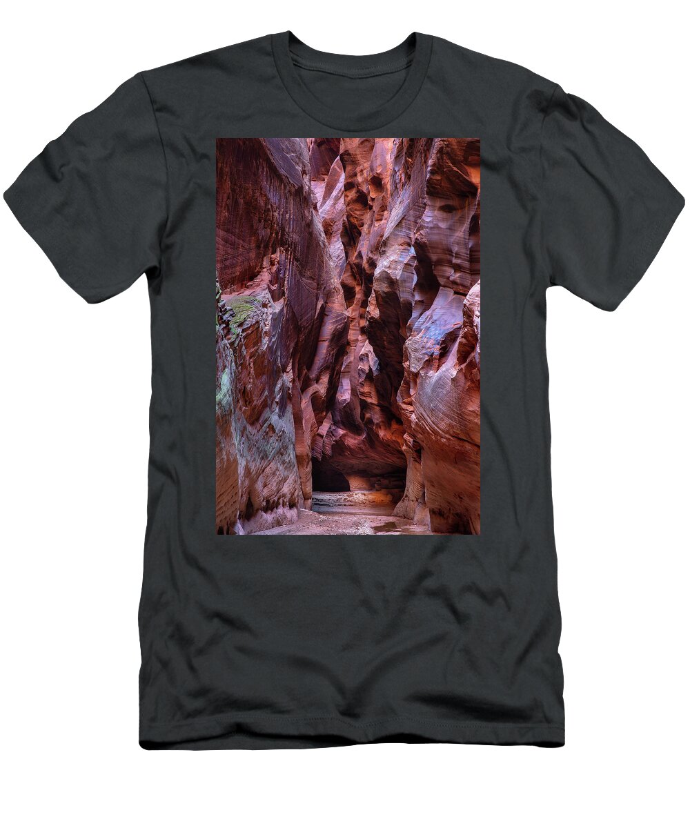 Abstract T-Shirt featuring the photograph Uncertain Way by Alex Mironyuk