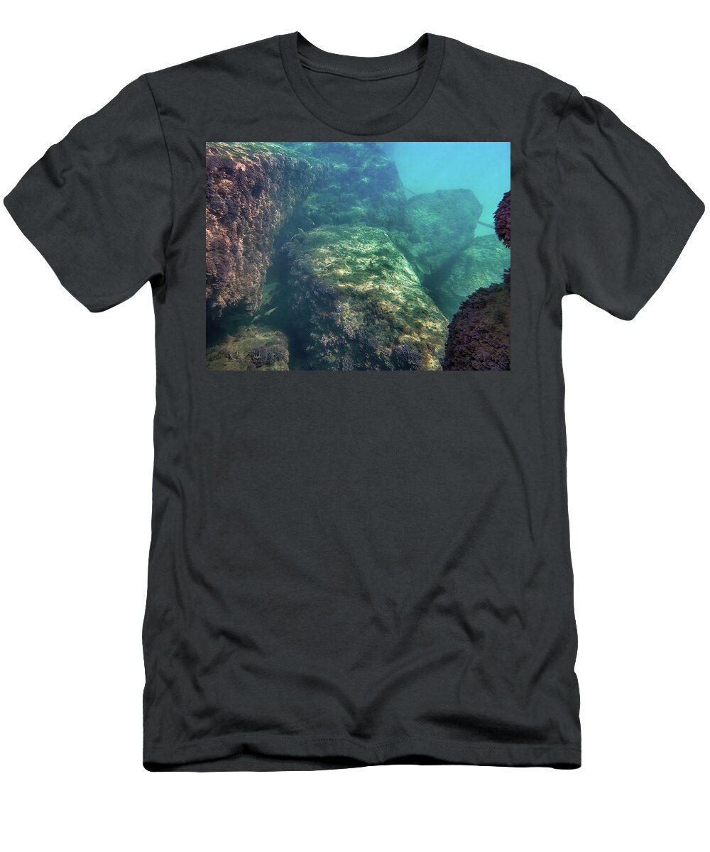Fish T-Shirt featuring the photograph Under the pier by Meir Ezrachi