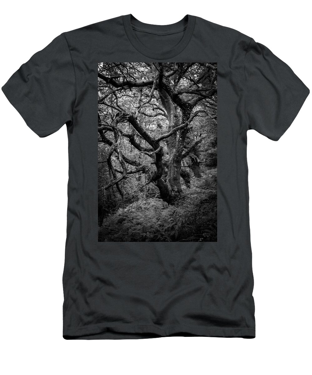 Monochrome T-Shirt featuring the photograph Up on the hill by Gavin Lewis
