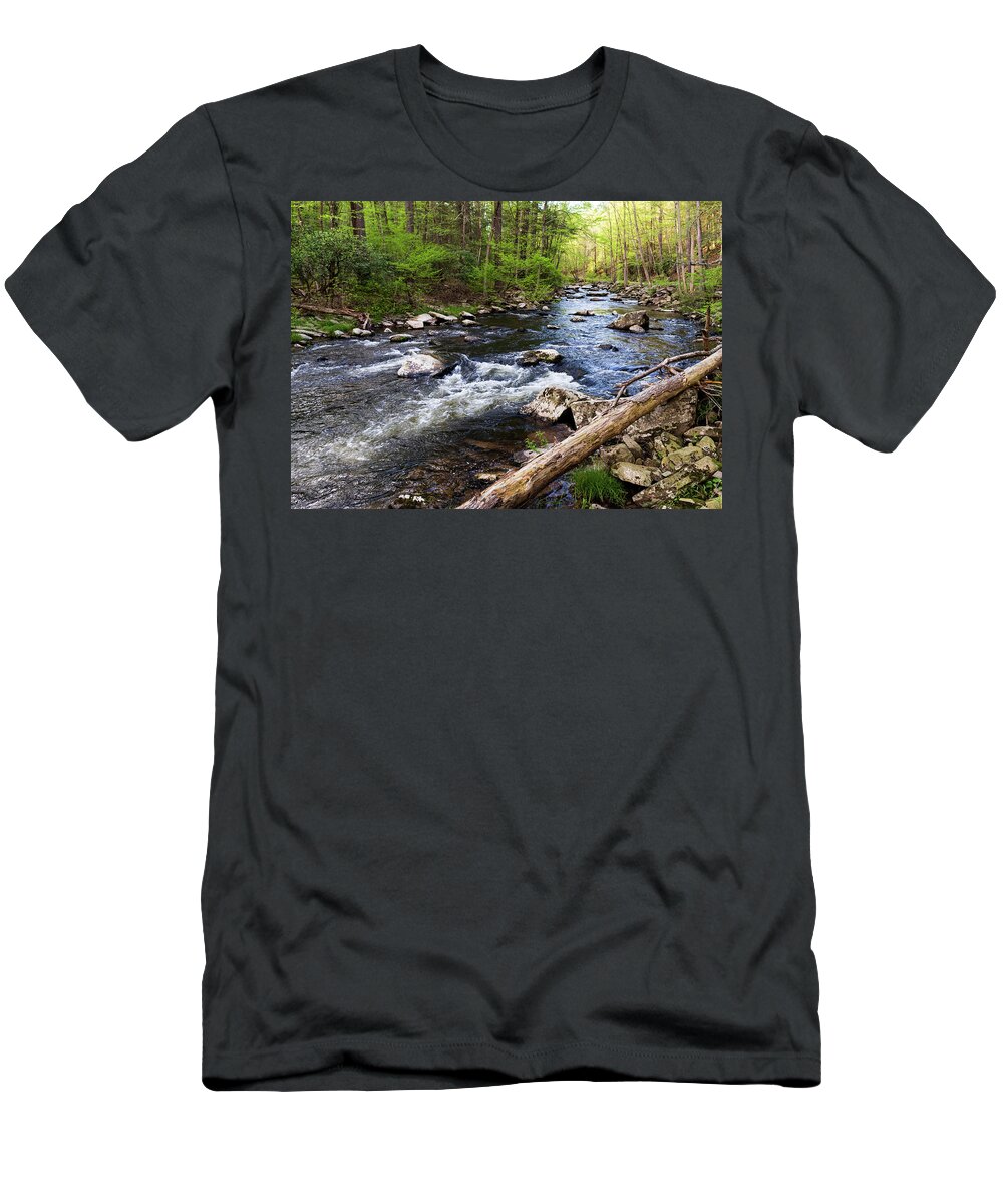 Catskills T-Shirt featuring the photograph Upstate New York - Ten Mile River Narrowsburg NY by Amelia Pearn
