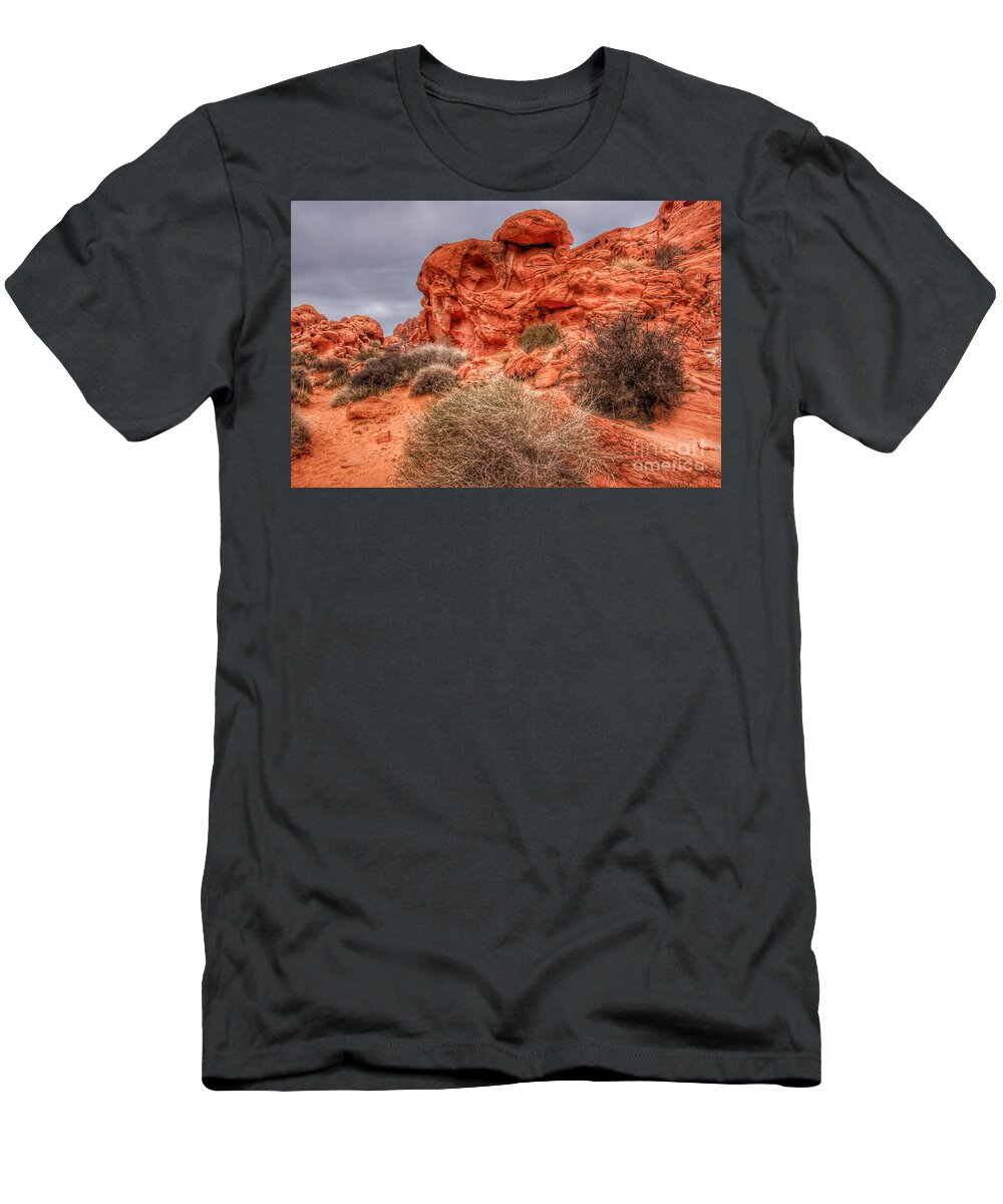  T-Shirt featuring the photograph Valley of Fire Earthscapes 3 by Rodney Lee Williams