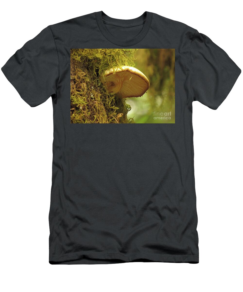 Mushroom T-Shirt featuring the photograph Veined Mushroom by Linda Vanoudenhaegen