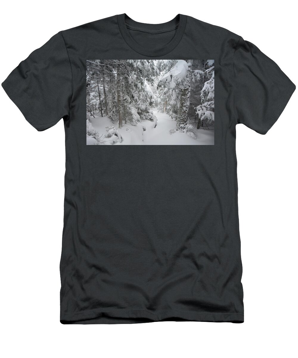 Vermont Appalachian Trail Just South Of Summit Of Stratton Mountain T-Shirt featuring the photograph Vermont Appalachian Trail Just South of Summit of Stratton Mountain 2 by Raymond Salani III