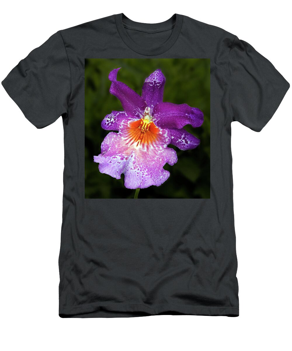 Orchid T-Shirt featuring the photograph Vibrant Orchid Flower by Susan Candelario