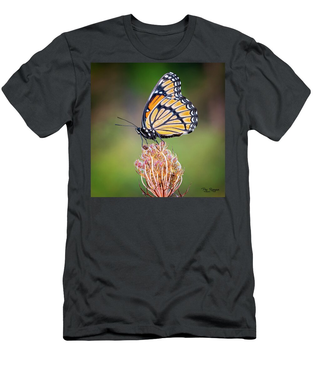 Butterfly T-Shirt featuring the photograph Viceroy by Peg Runyan