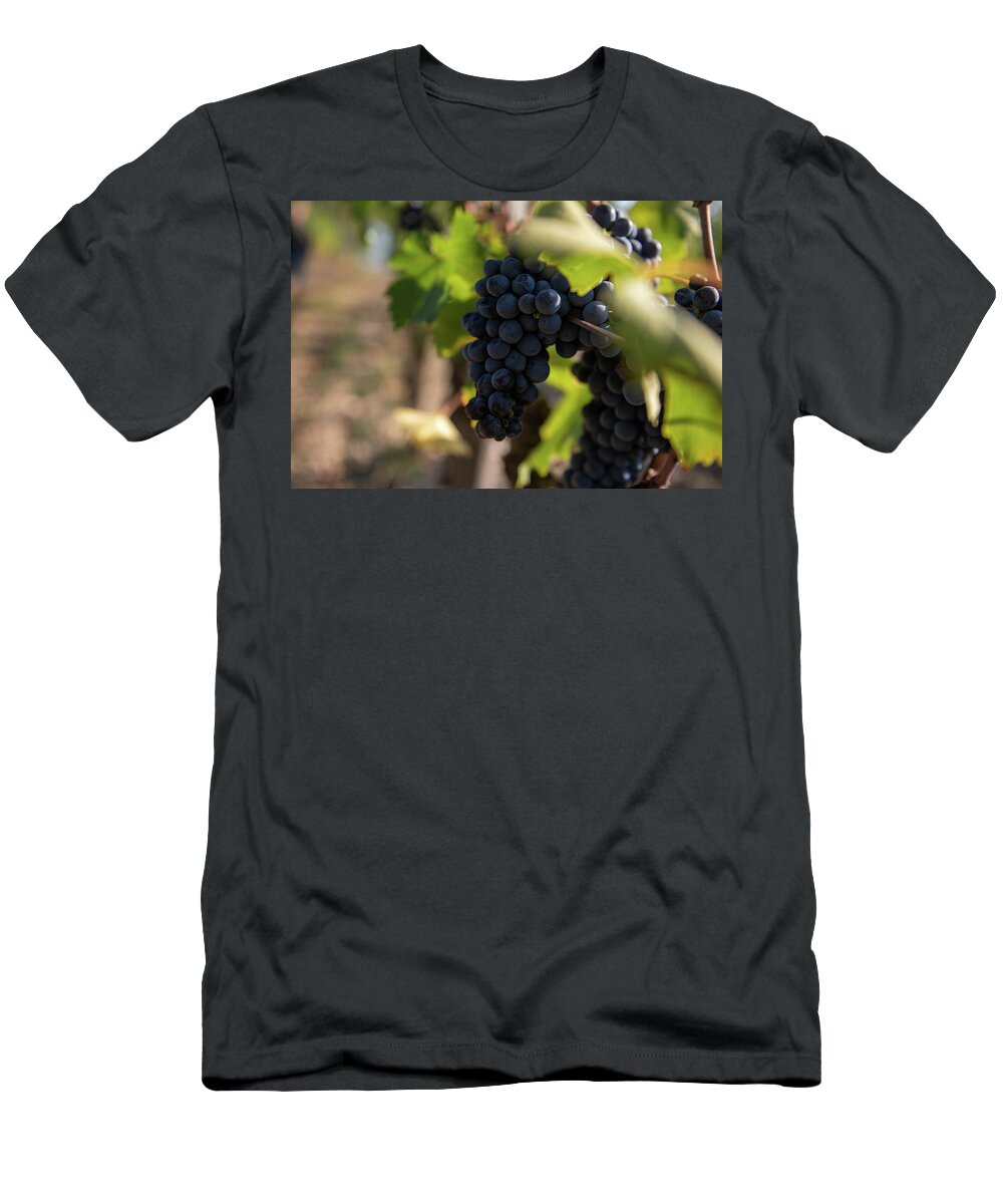 Orcia T-Shirt featuring the photograph Vineyard in Montalcino by Eleni Kouri