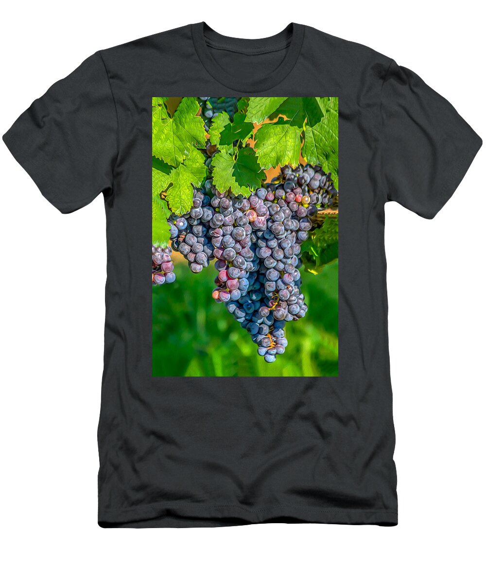 Grapes T-Shirt featuring the photograph Vineyards 03 OP by Jim Dollar