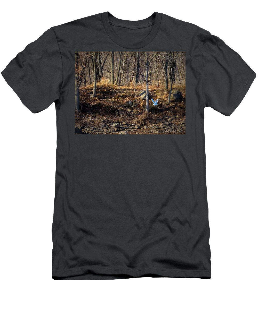 Woods T-Shirt featuring the photograph Visitor in the Woods by Linda Stern