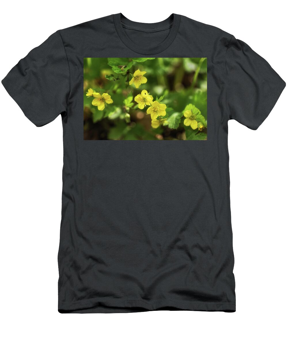 Waldsteinia T-Shirt featuring the photograph Waldsteinia Geoides Willd Barren Strawberry Flowers by Artur Bogacki