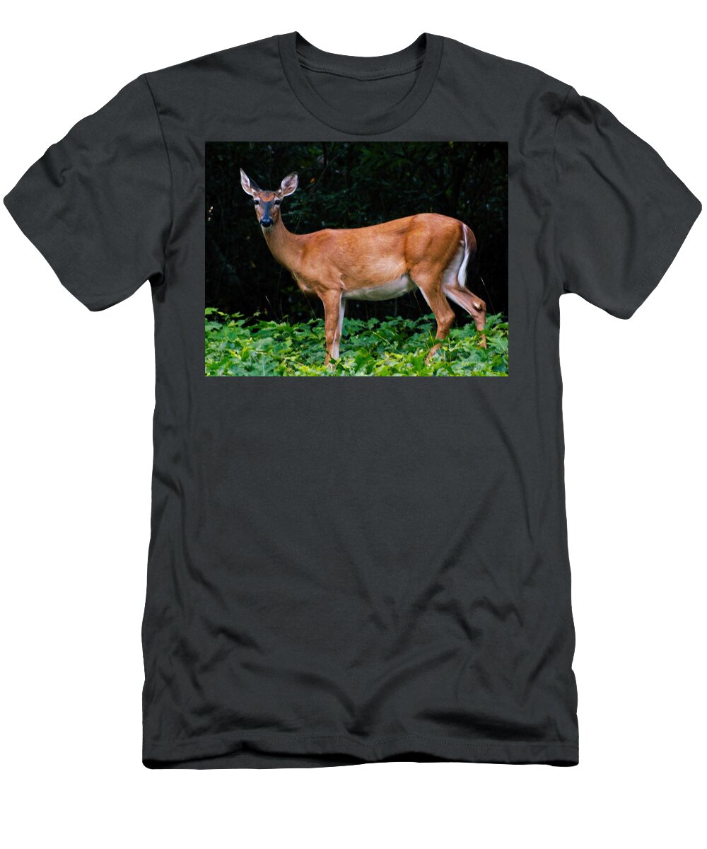 .the Great Deer Hunt T-Shirt featuring the photograph Washington State White Tail Deer by M Three Photos