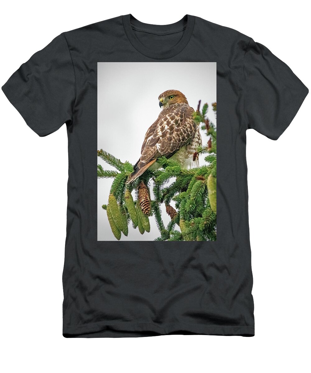 Bird T-Shirt featuring the photograph Watching Me Watching You by Ira Marcus