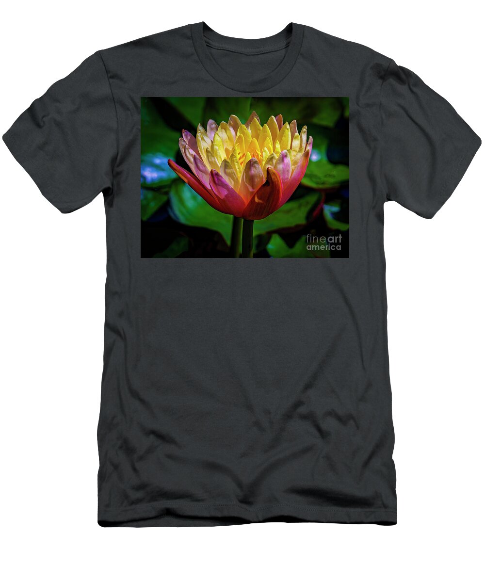 Atlanta T-Shirt featuring the photograph Water Lily 2021-3 by Nick Zelinsky Jr