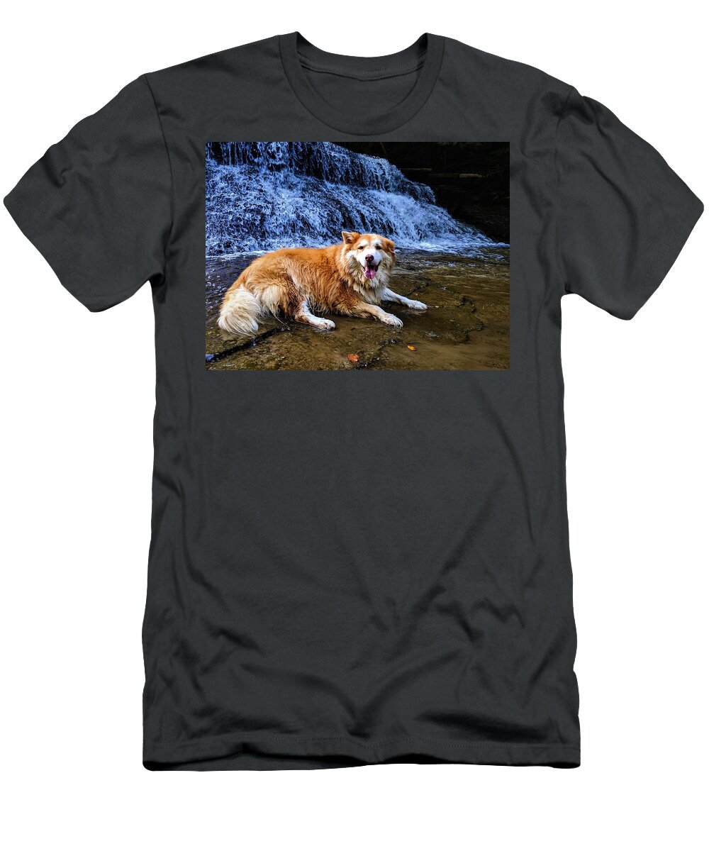  T-Shirt featuring the photograph Waterfall Doggy by Brad Nellis