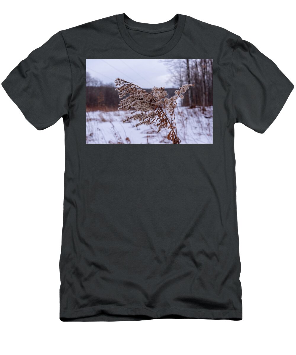 No People T-Shirt featuring the photograph Weed in the Cold winter by Nathan Wasylewski