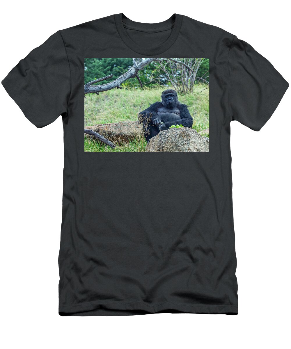 Western Lowland Gorilla T-Shirt featuring the photograph Western Lowland Gorilla by Shirley Dutchkowski