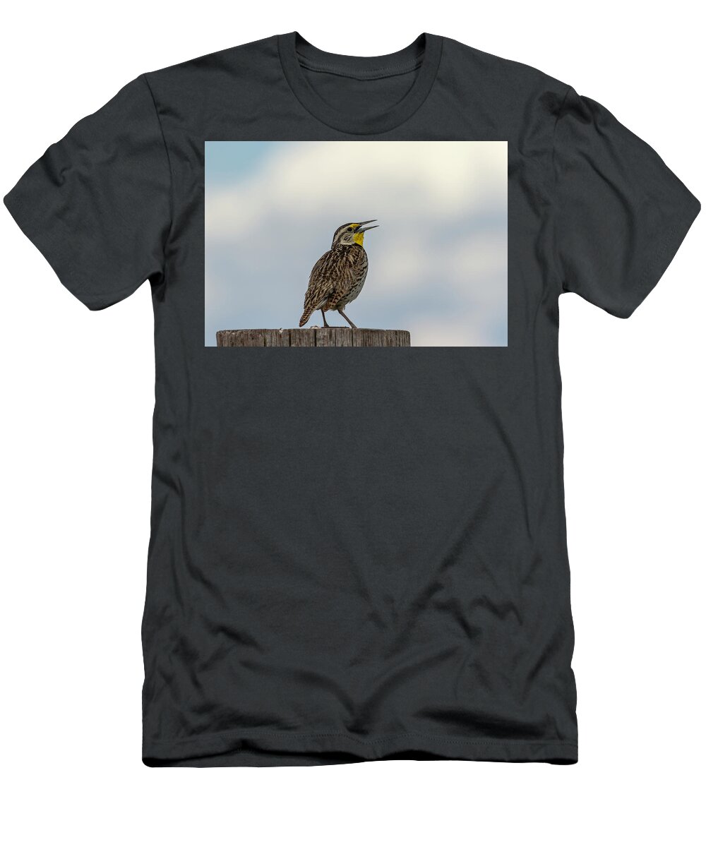 Western Meadowlark T-Shirt featuring the photograph Western Meadowlark 2014 by Thomas Young