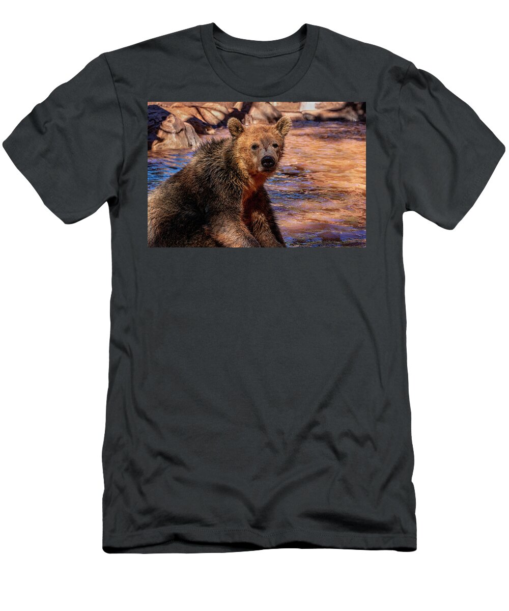 Sedona T-Shirt featuring the photograph Wet Bear by Al Judge