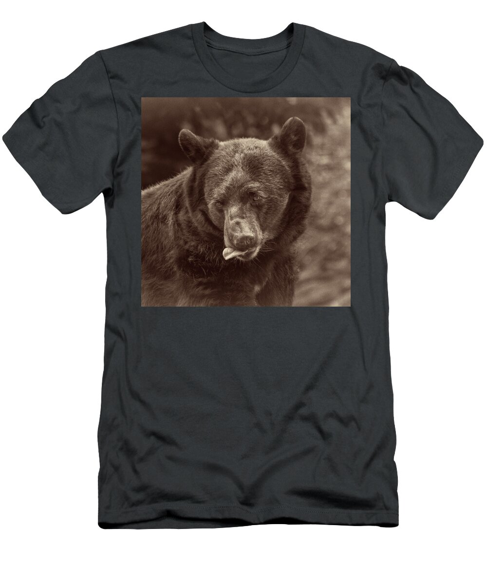 Bear T-Shirt featuring the photograph Where Is My Honey-Square by John Kirkland
