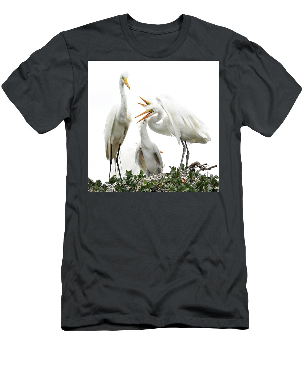  T-Shirt featuring the painting Where's Dinner by Deborah Tidwell Artist
