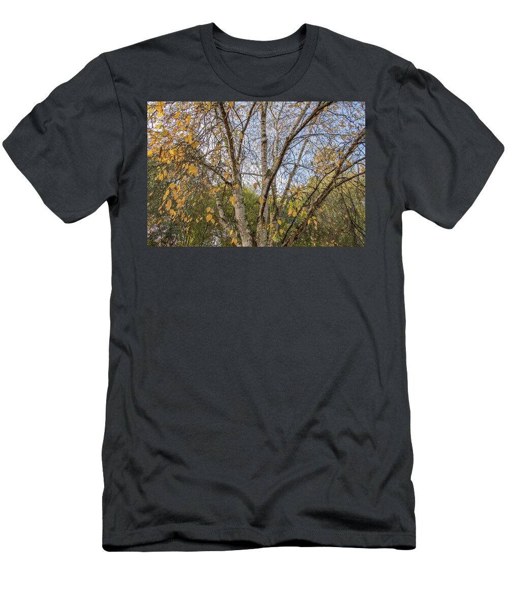 Whetstone Stray T-Shirt featuring the photograph Whetstone Stray Trees Fall 4 by Edmund Peston