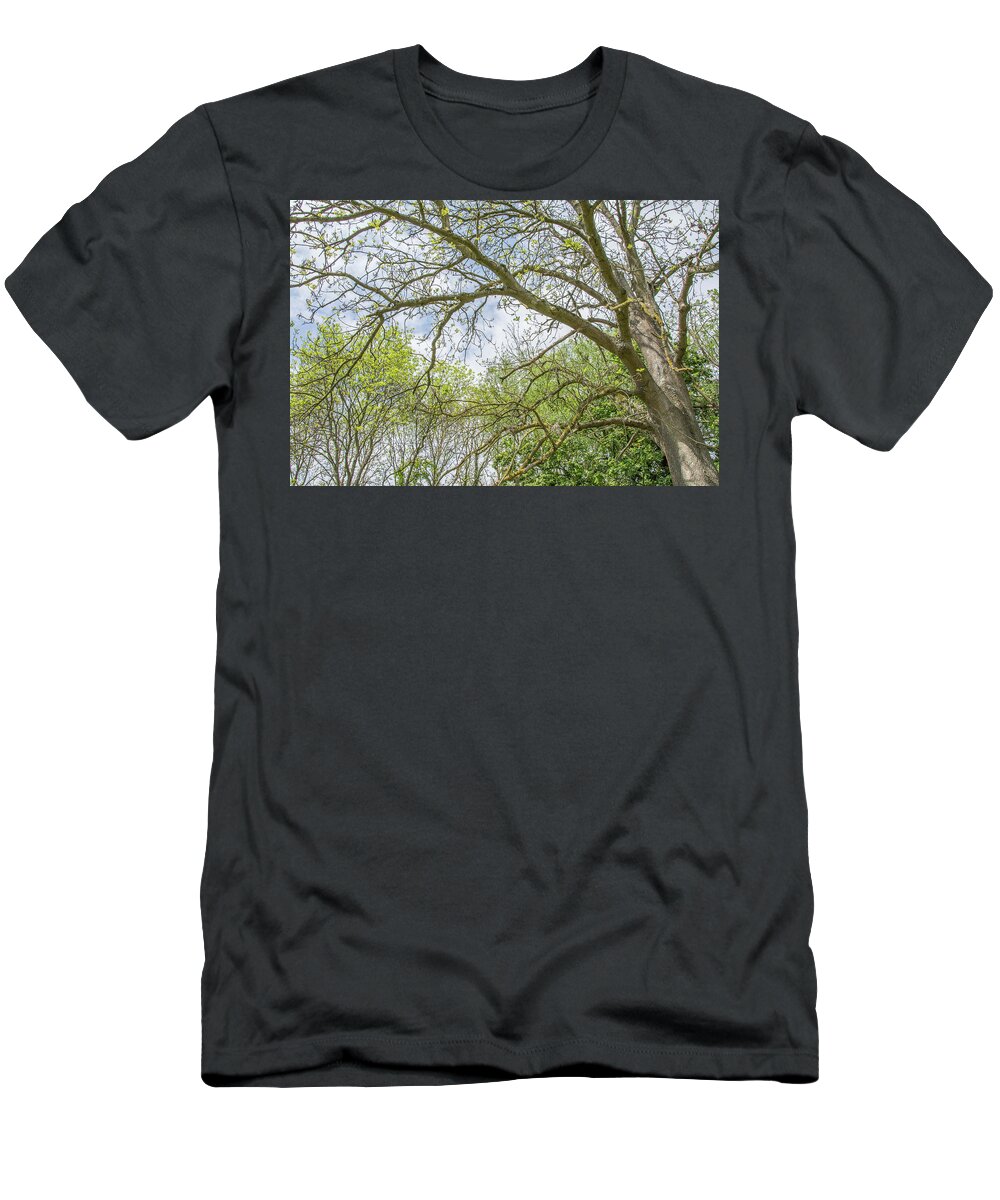 Whetstone Stray T-Shirt featuring the photograph Whetstone Stray Trees Spring 3 by Edmund Peston