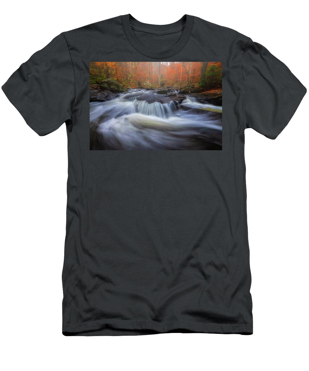 Water T-Shirt featuring the photograph Whisper in the Woods by Darren White