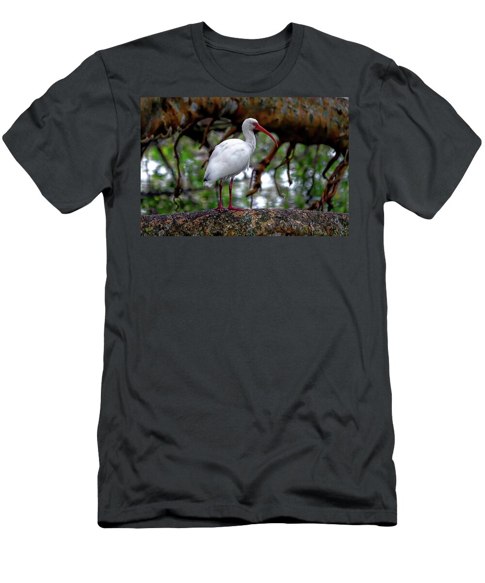Ibis T-Shirt featuring the photograph White Ibis by Rick Lawler