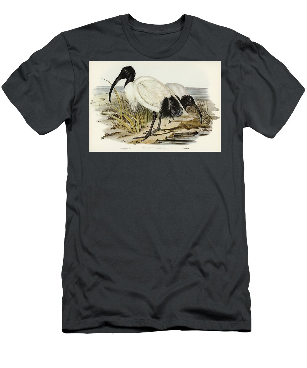 Ancient T-Shirt featuring the painting White Ibis Threskiornis strictipennis illustrated by Elizabeth Gould 1804-1841 for John Goulds 1804- by Les Classics
