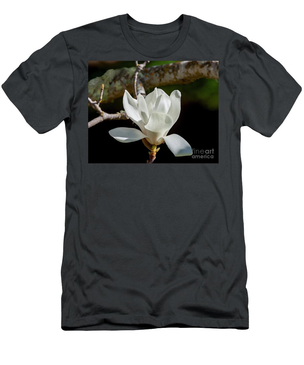 Magnolia Blossoms T-Shirt featuring the photograph White Magnolia Blossom, 1 by Glenn Franco Simmons