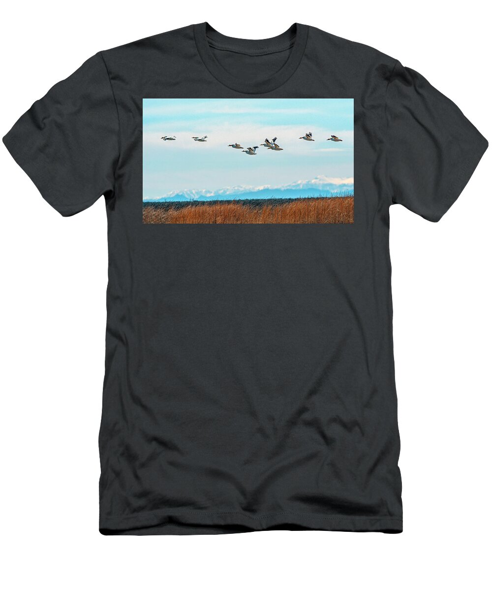 Pelican T-Shirt featuring the photograph White Pelicans in flight by Rick Mosher