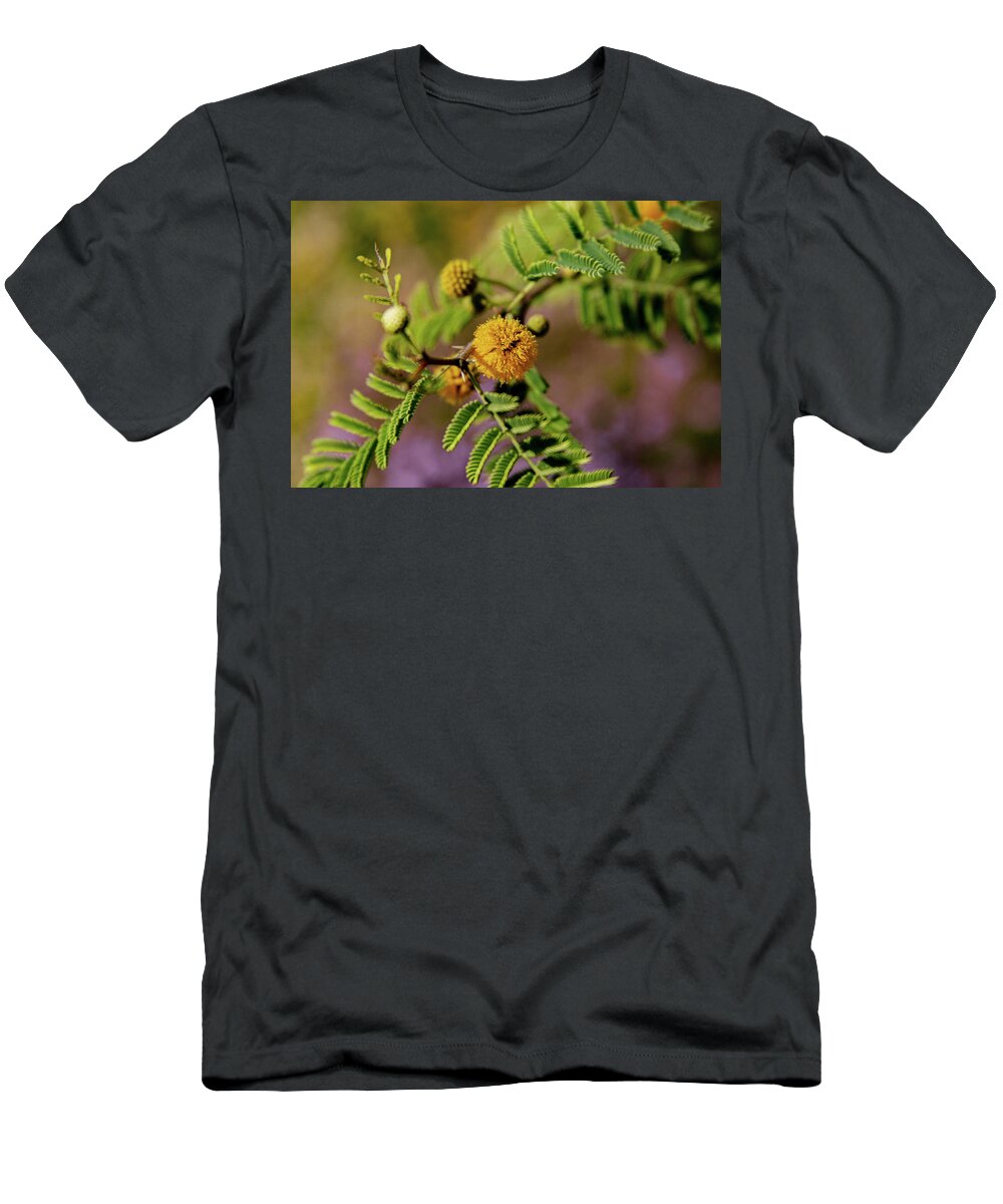 Acacia T-Shirt featuring the photograph White Thorn Acacia in Bloom by Bonny Puckett