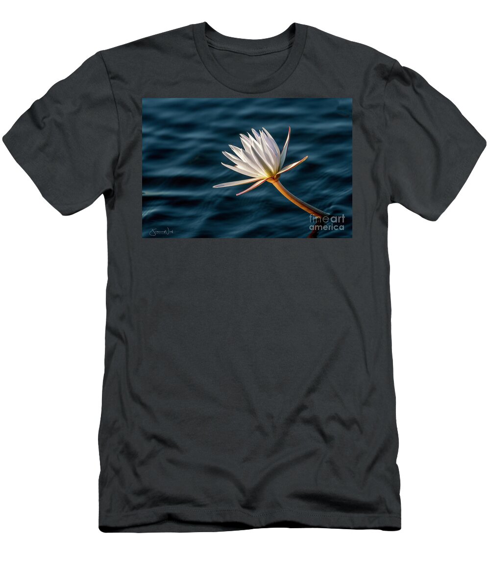 Flower T-Shirt featuring the photograph White Water Lily, Chobe River Africa by Joanne West