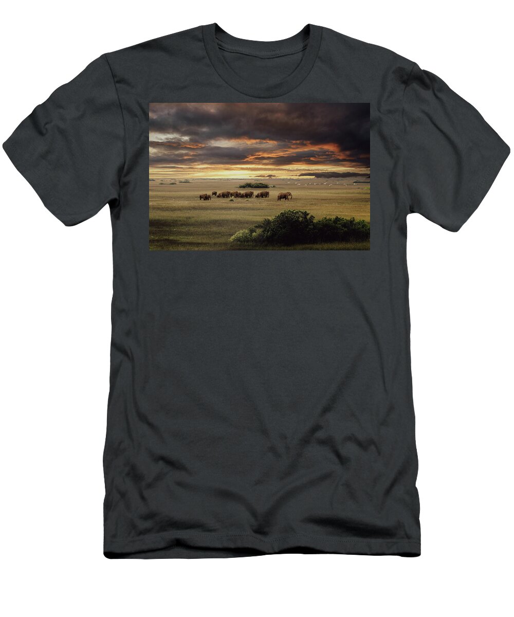 Elephants T-Shirt featuring the photograph Wild Africa by Ed Taylor