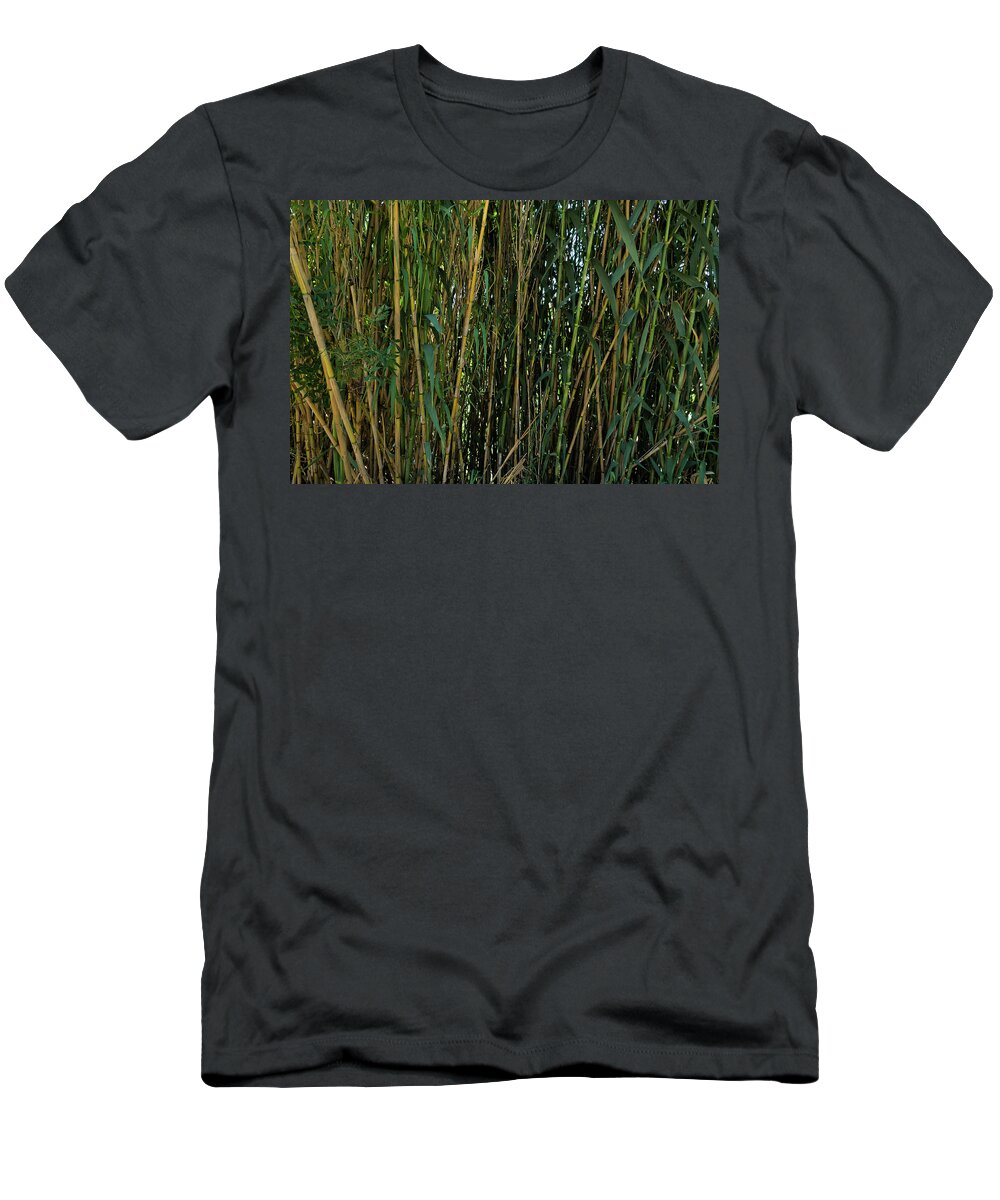 Bamboos T-Shirt featuring the photograph Wild Bamboo Wall by Angelo DeVal