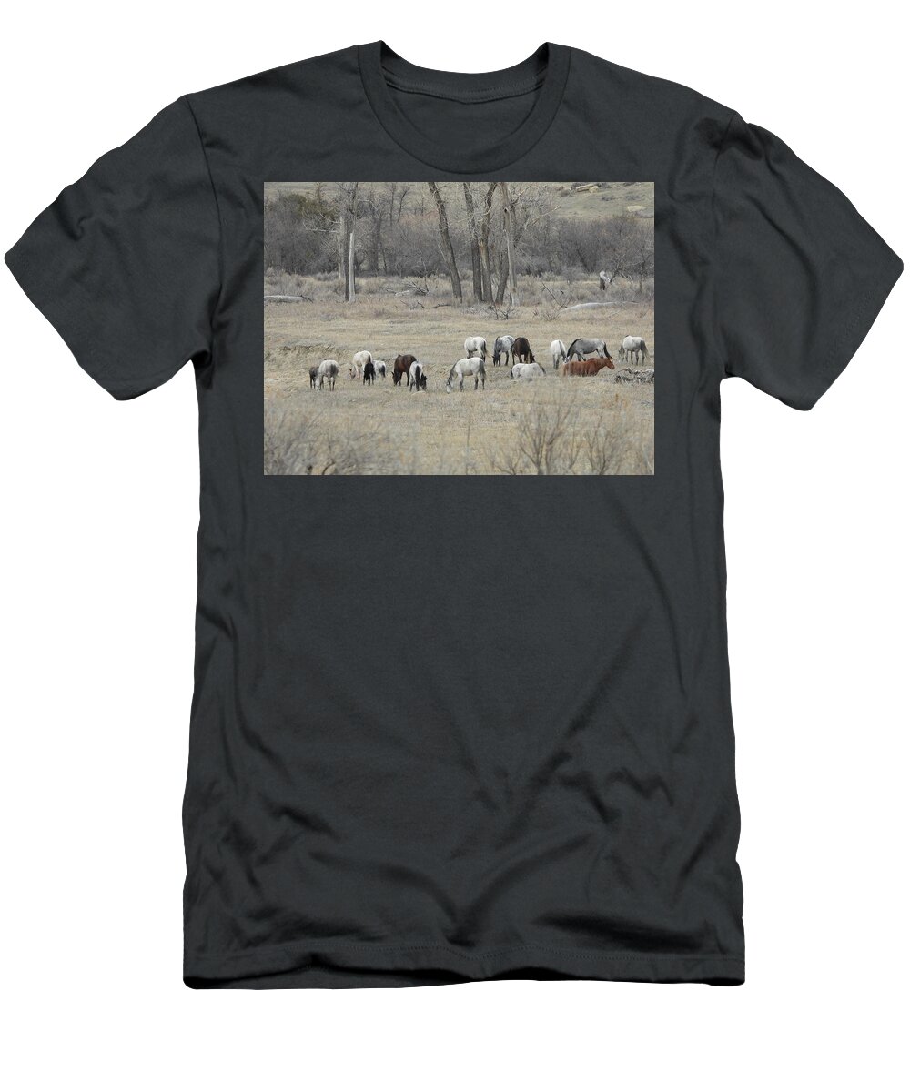 Wild Horses T-Shirt featuring the photograph Wild Horse Herd 1 by Amanda R Wright