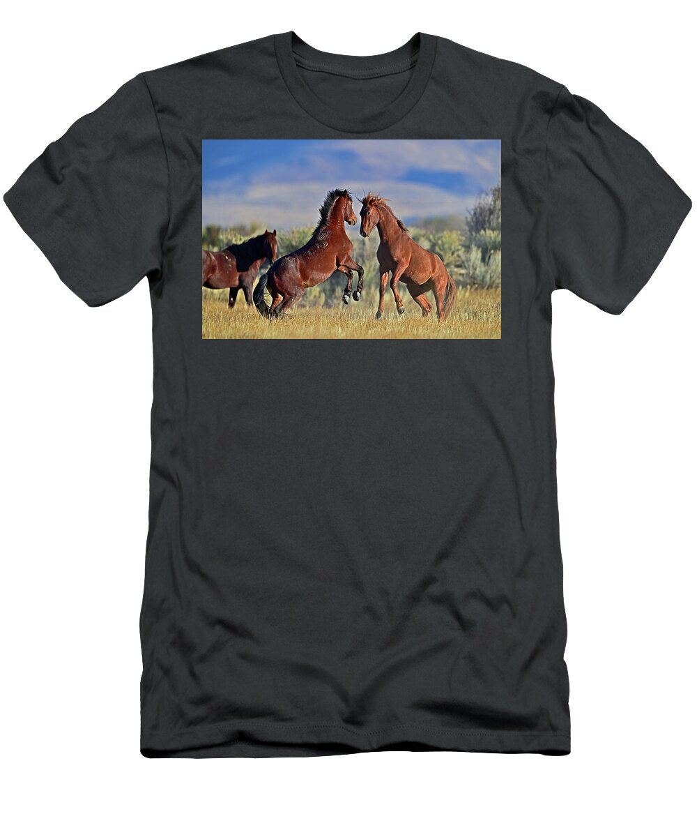 Wild Horse T-Shirt featuring the photograph Wild Horse - On hind legs for the fight by Amazing Action Photo Video