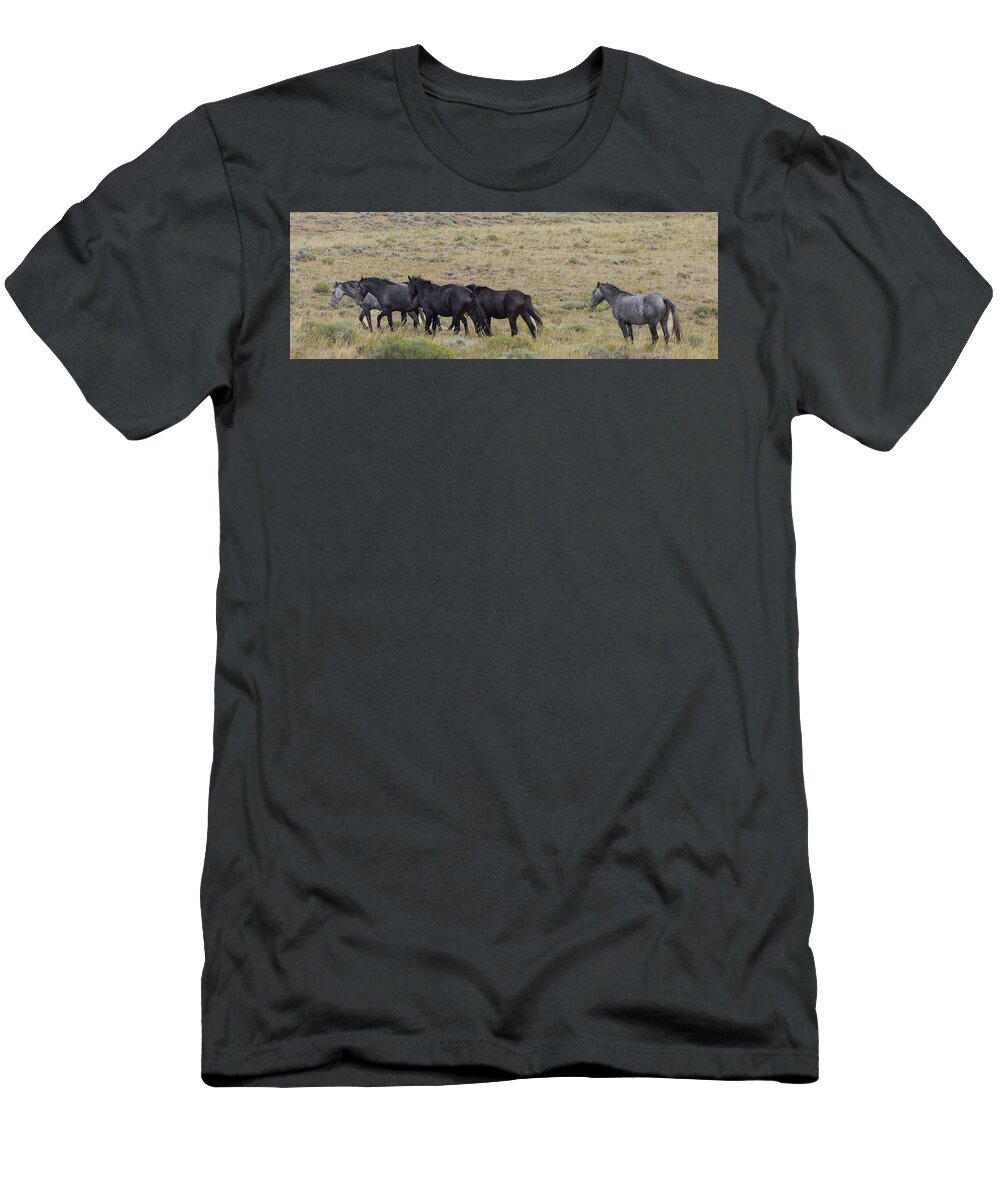 Horse T-Shirt featuring the photograph Wild Horses by Laura Terriere