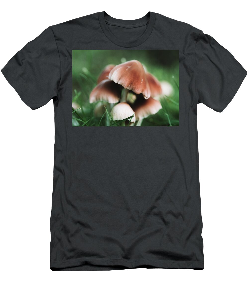 Plants T-Shirt featuring the photograph Wild Mushrooms - Nature Photography by Amelia Pearn