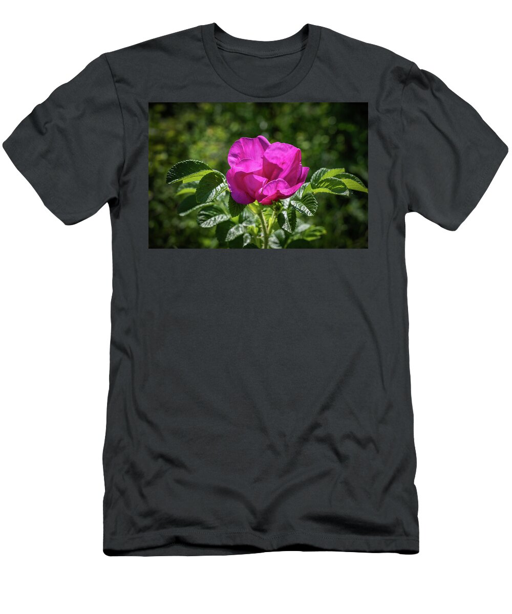 Wild T-Shirt featuring the photograph Wild Pink Single Rose Blossoming Flower by Artur Bogacki
